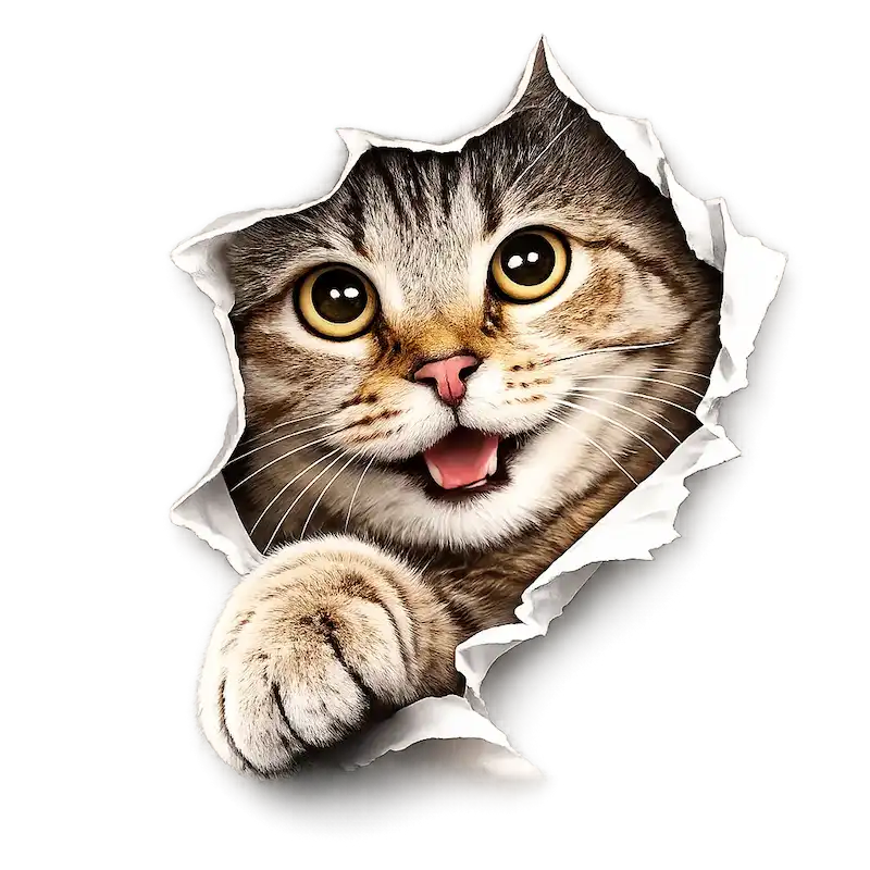 Gato asomándose, ilustración GATITOS